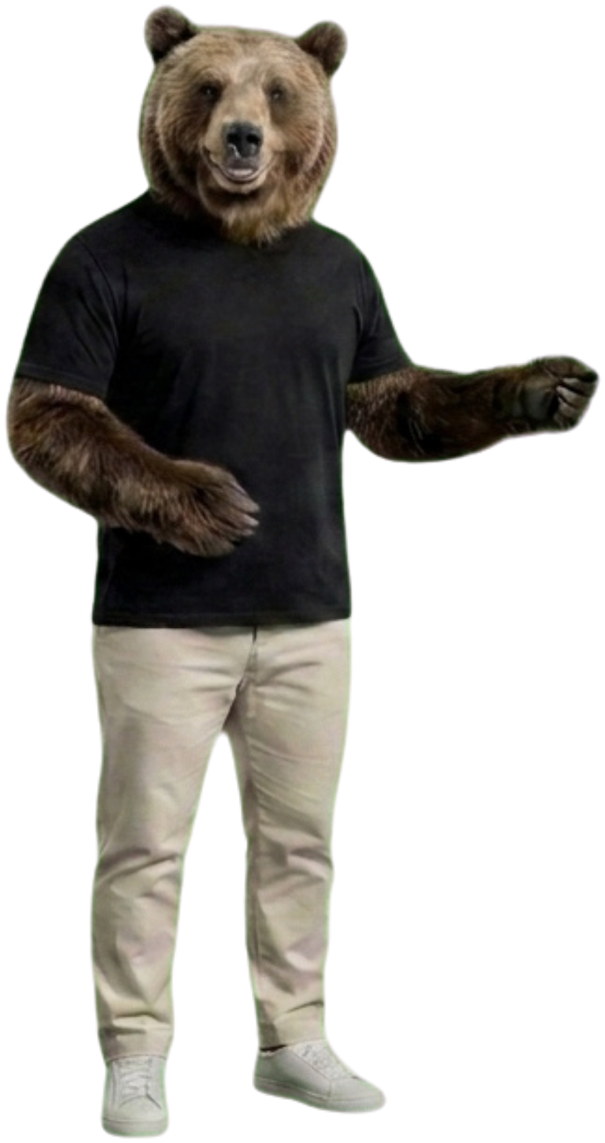 Mircea, the strategist bear