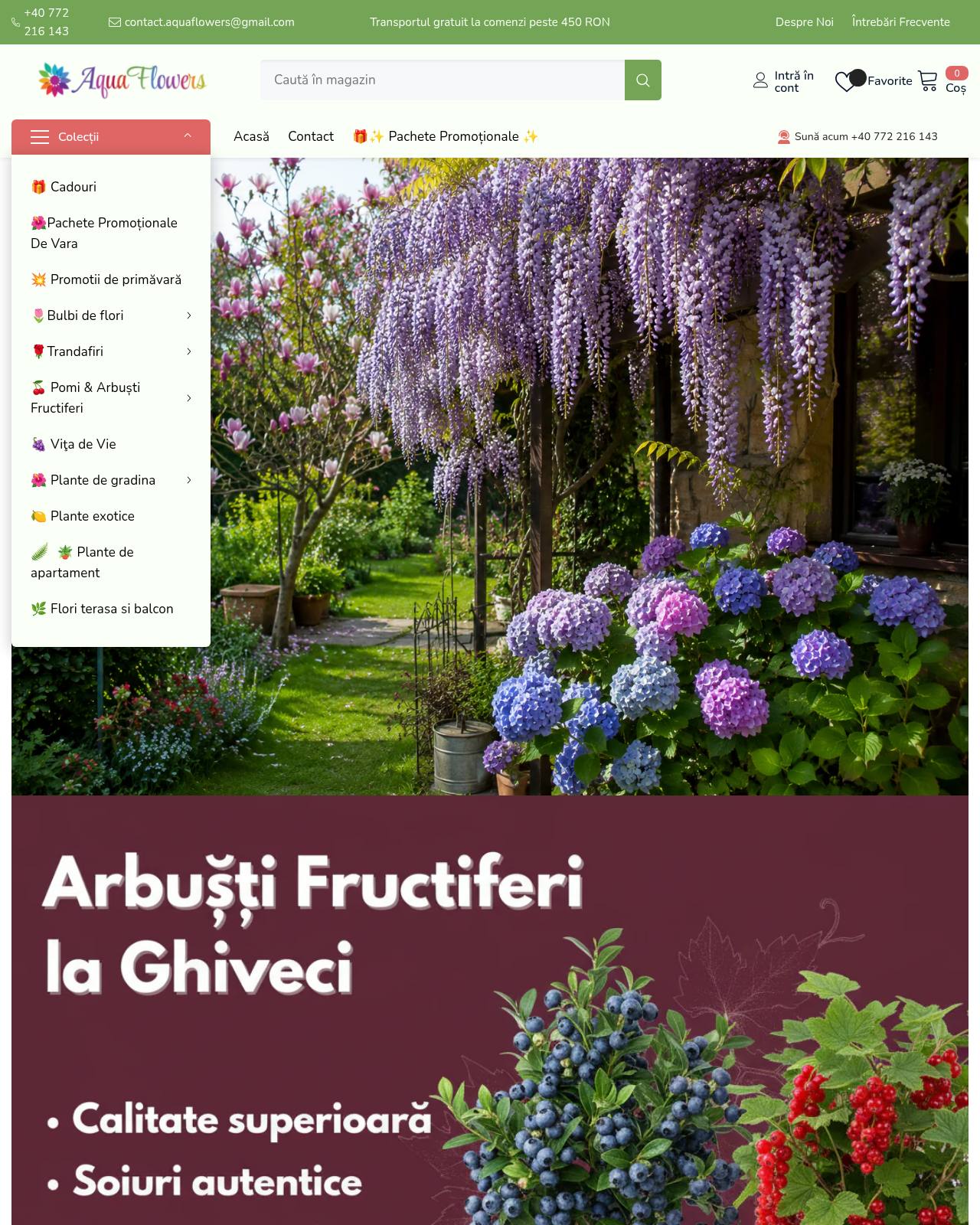 aqua-flowers.ro — online store